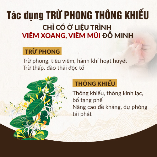 Cơ chế bài thuốc Viêm Mũi Dị Ứng Đỗ Minh Đường Cơ chế bài thuốc Viêm Mũi Dị Ứng Đỗ Minh Đường