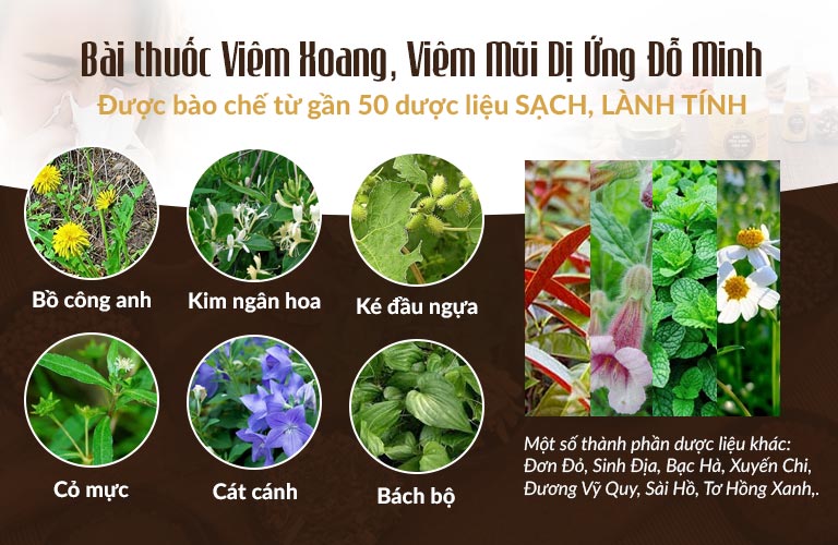 Dược liệu sử dụng trong bài thuốc viêm xoang Đỗ Minh đều là dược liệu hữu cơ nuôi trồng tại Việt Nam