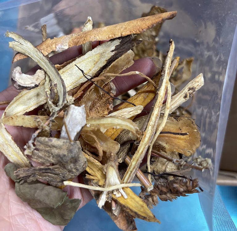 Thang thuốc chú trọng vào điều trị từ gốc đến ngọn